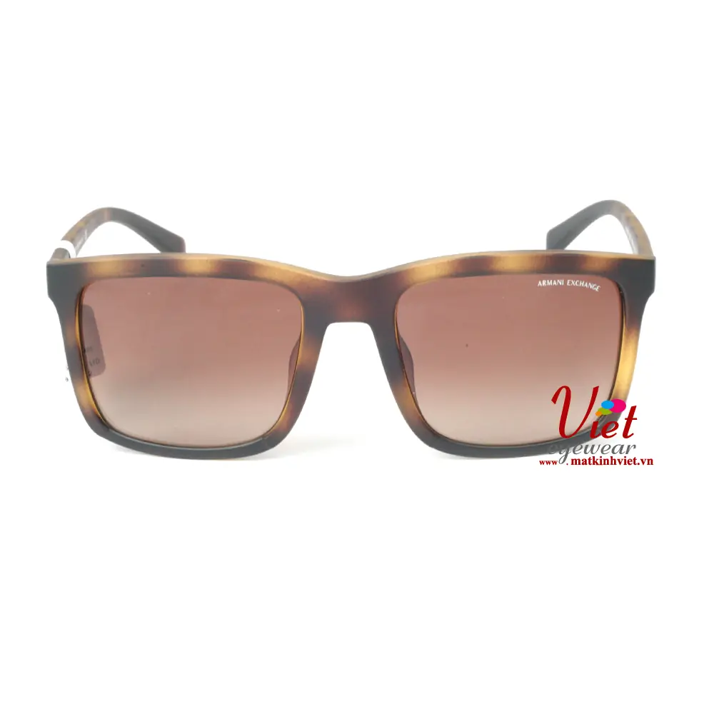 Kính mát Armani Exchange AX4067SF 8231/13
