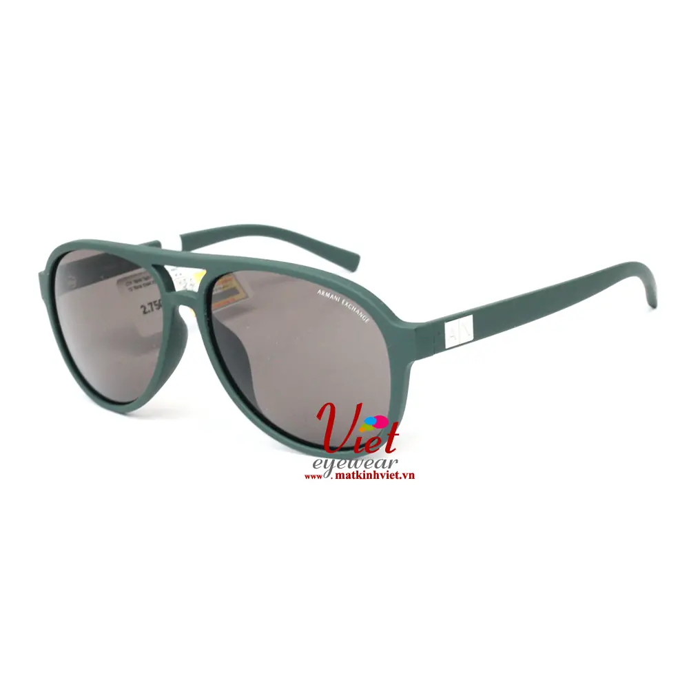 Kính Mát Armani Exchange AX4055SF 8196/73