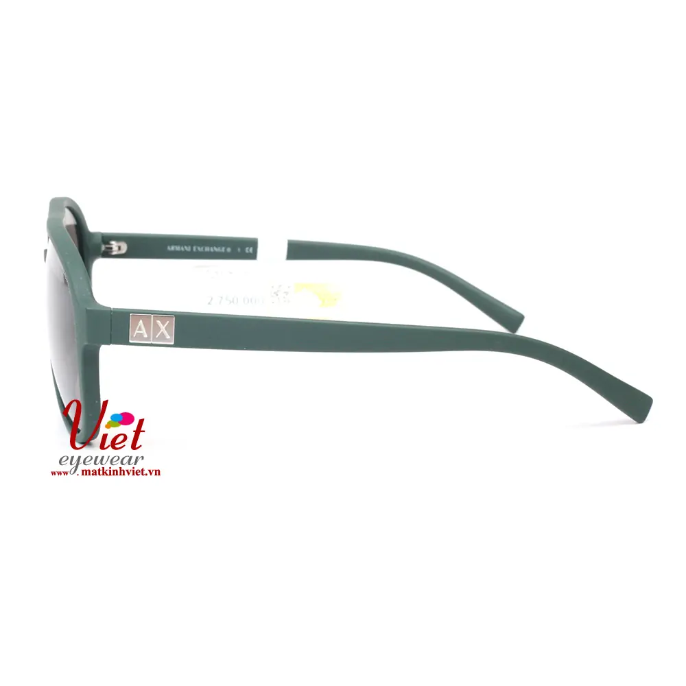 Kính mát Armani Exchange AX4055SF 8196/73