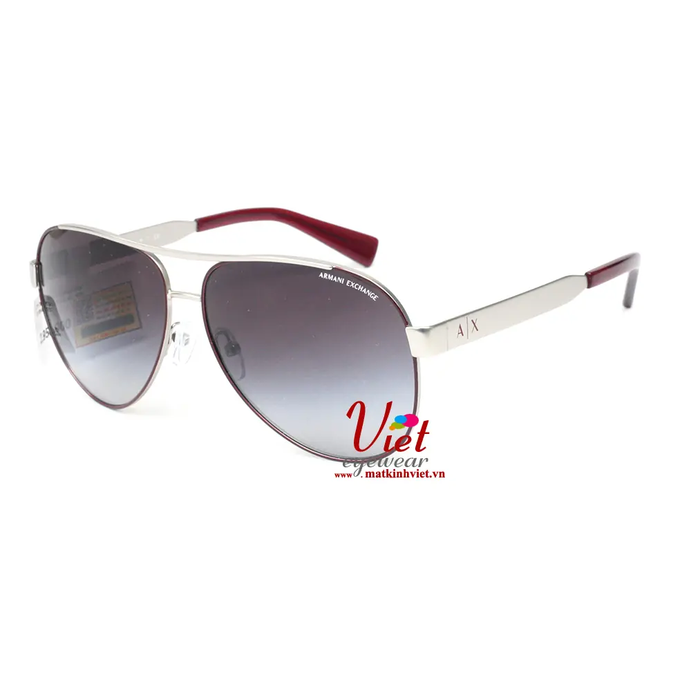 Kính Mát Armani Exchange AX2018S 6090/8G