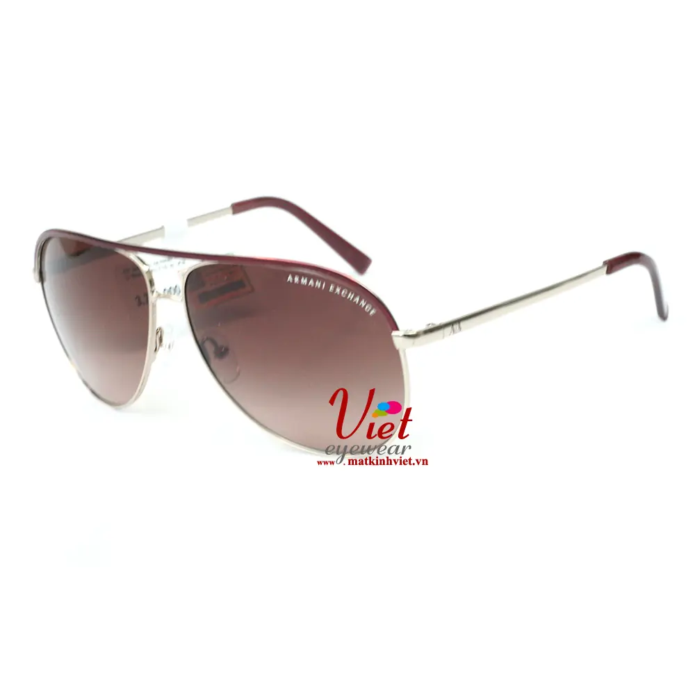 Kính mát Armani Exchange AX2002 6010/13