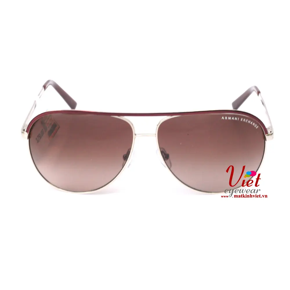 Kính mát Armani Exchange AX2002 6010/13