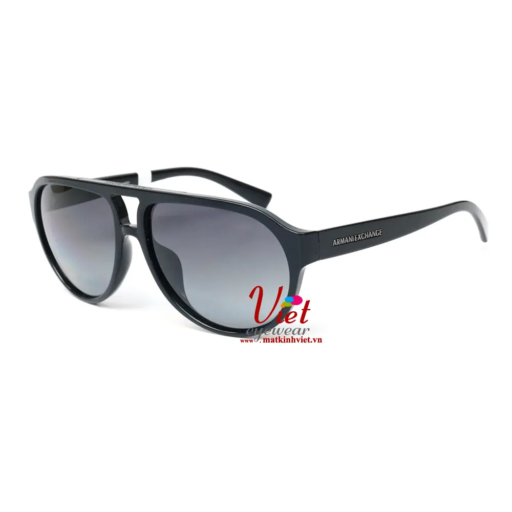 Kính Mát Armani Exchange 4042SF 8158/T3