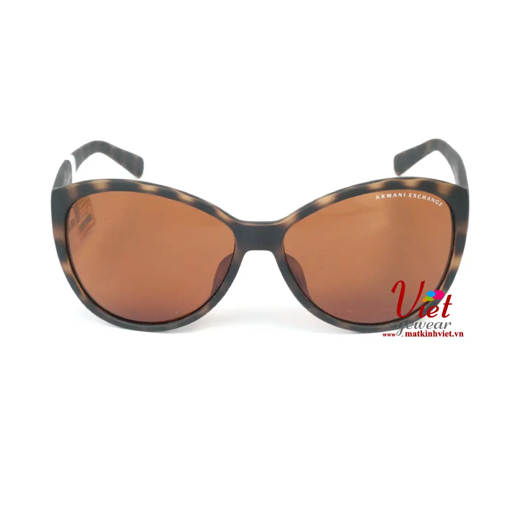 Kính mát Armani Exchange AX4006F 8029/73