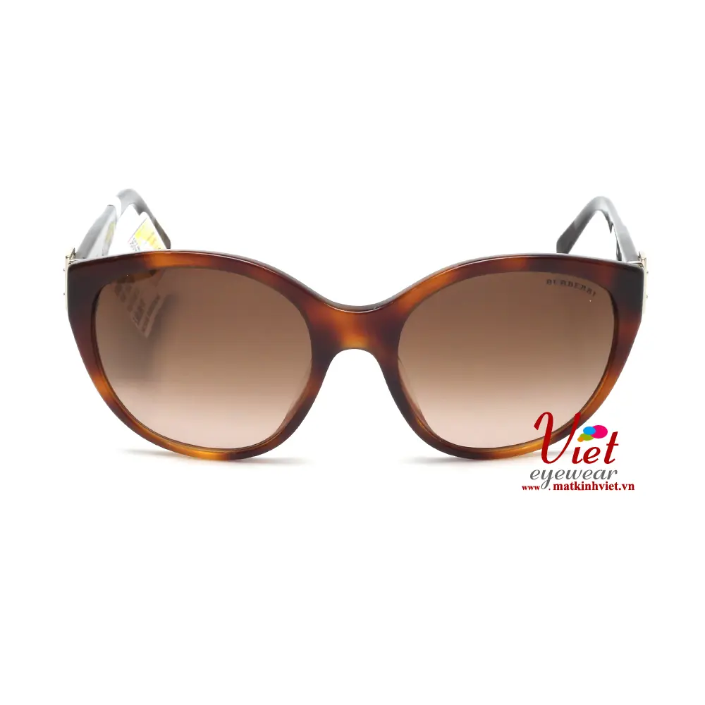 Kính mát Burberry B4242F 3634/13