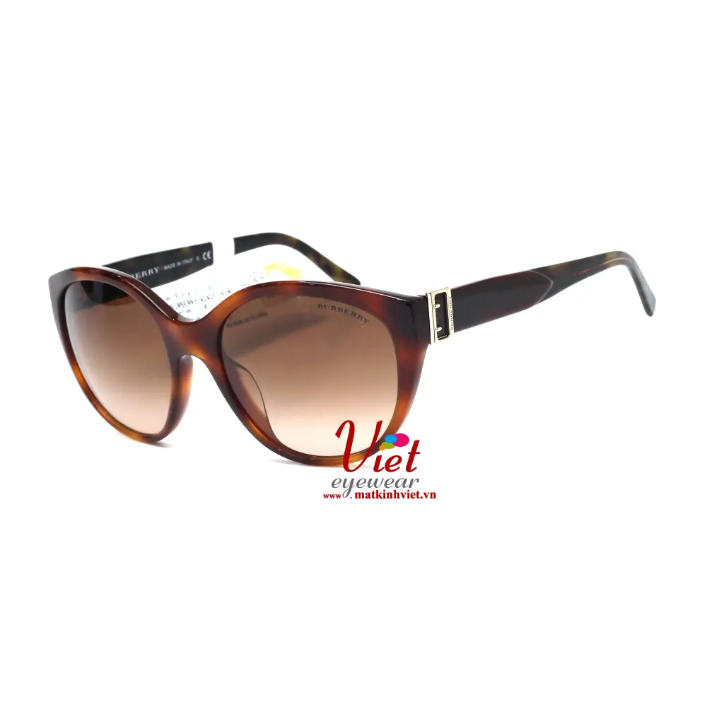 Kính mát Burberry B4242F 3634/13