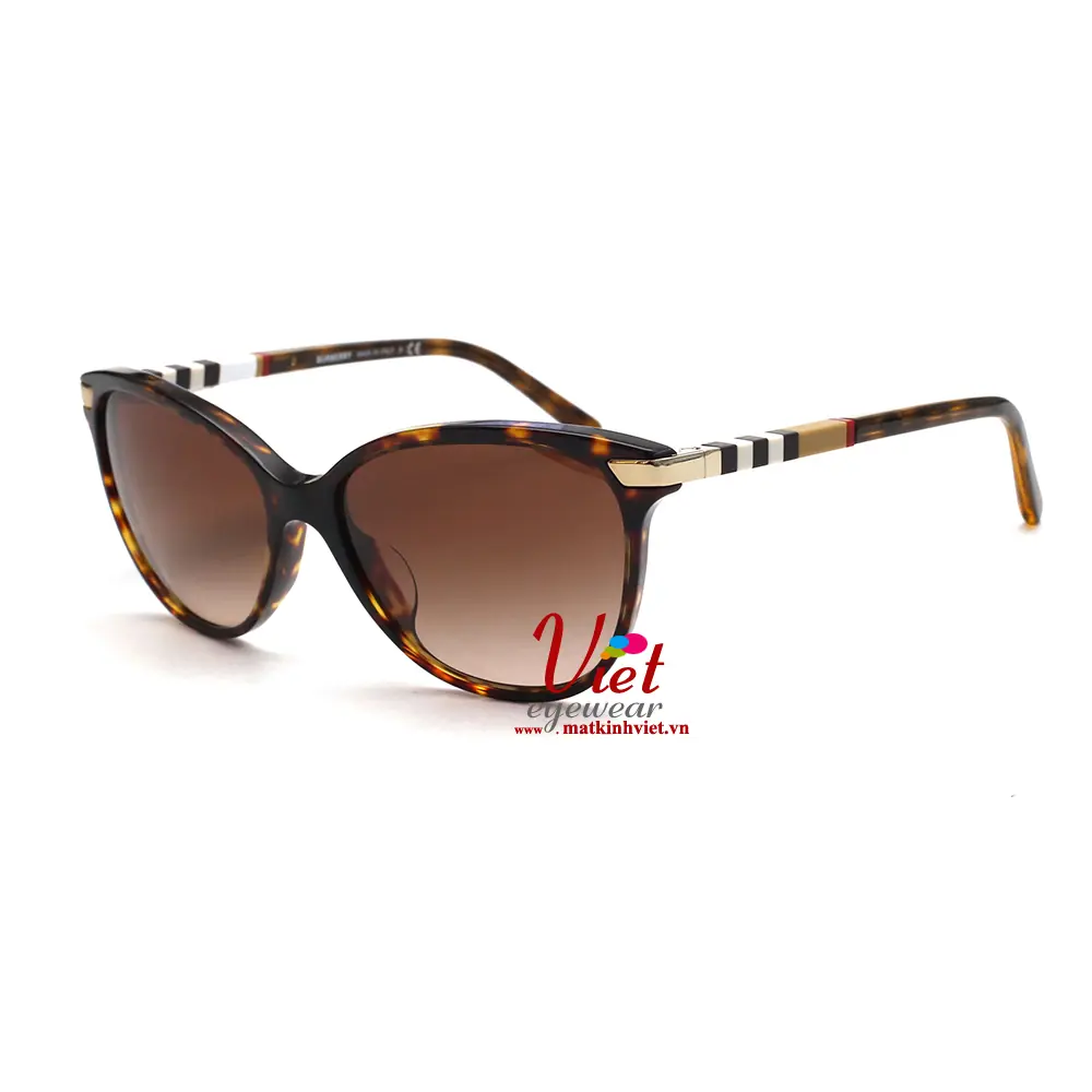 Kính Mát Burberry B4216F 3002/13