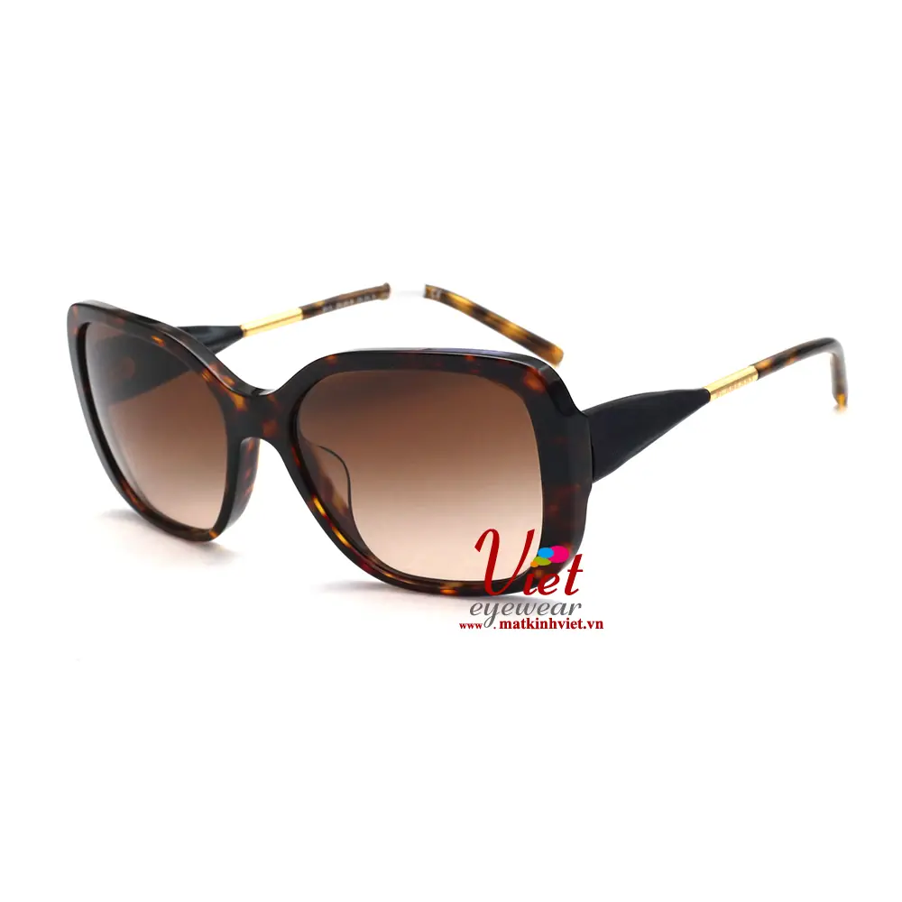 Kính mát Burberry B4192F 3002/13