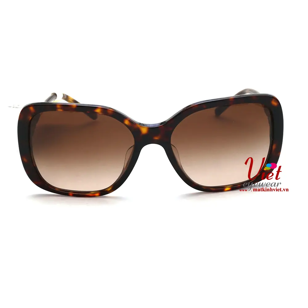 Kính mát Burberry B4192F 3002/13