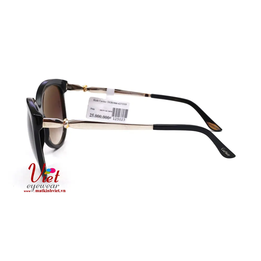 Kính mát Cartier T8201066 6273319