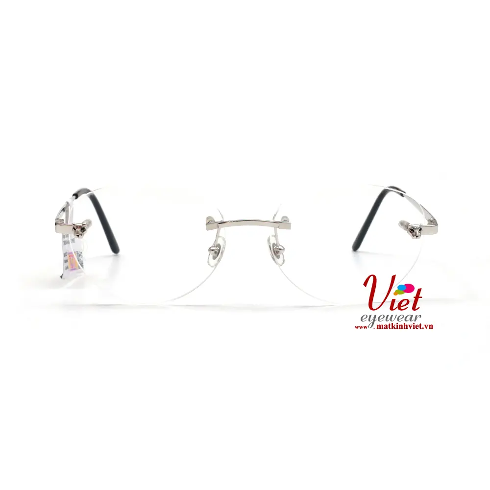 Gọng kính Cartier CT0028O 001 D18C98E