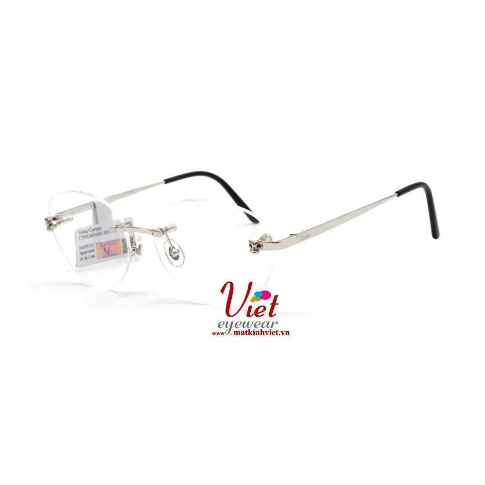 Gọng Kính Cartier CT0028O 001 D18C98E
