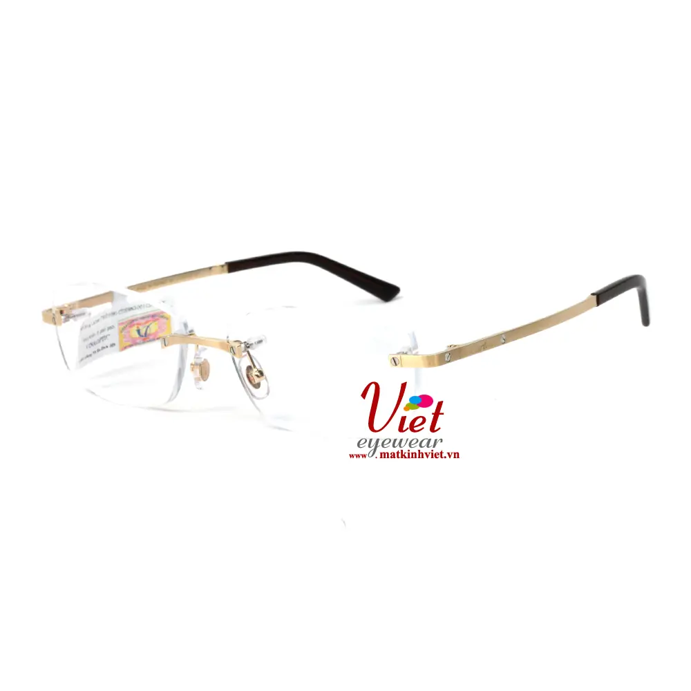 Gọng Kính Cartier CT0086O 001-C03B80K