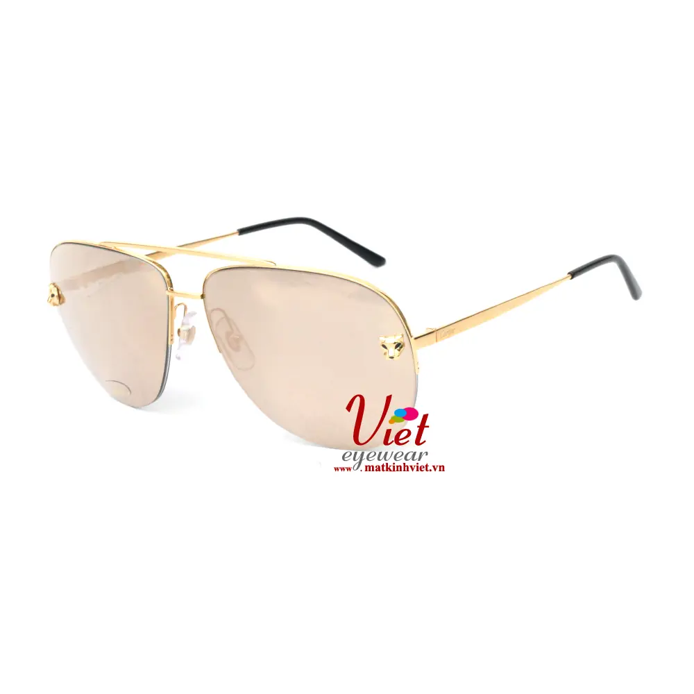 Kính Mát Cartier CT0065S 002-D14B15C