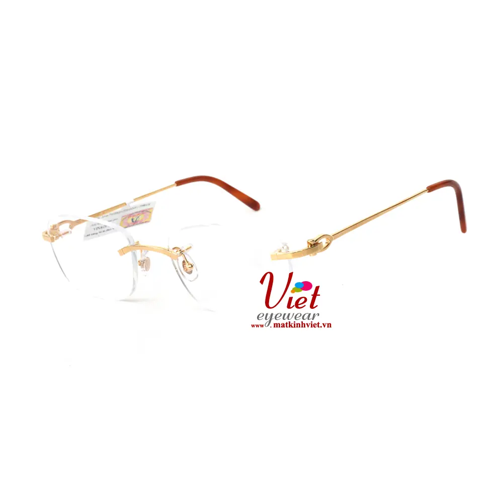 Gọng kính Cartier CT0050O 001-C09B51K