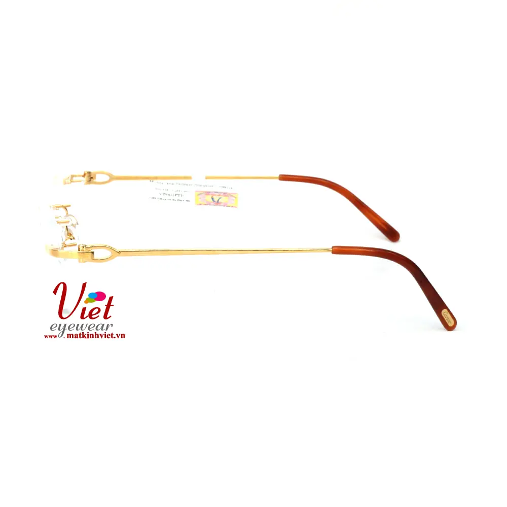 Gọng kính Cartier CT0050O 001-C09B51K