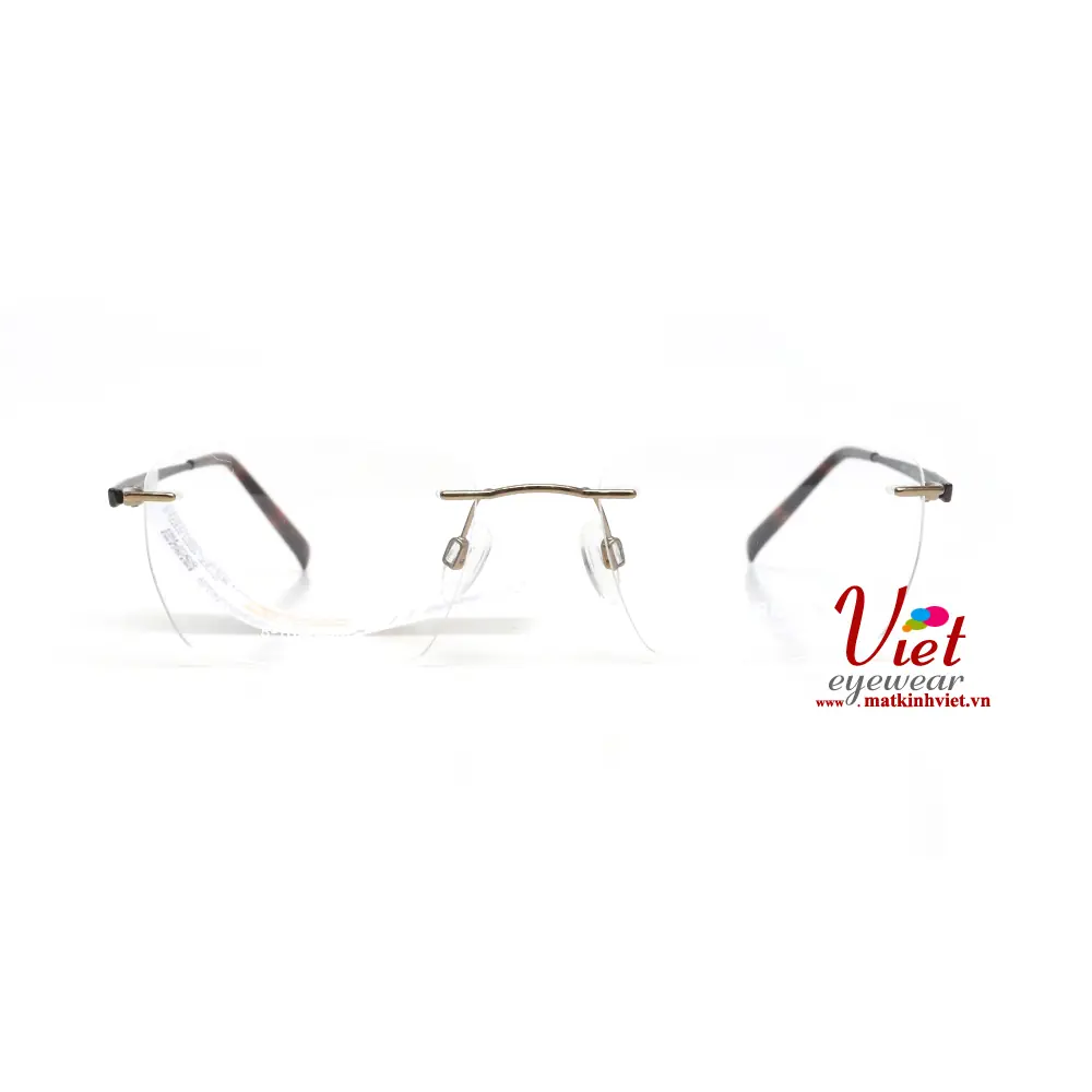 Gọng kính Charmant CH29739 GD