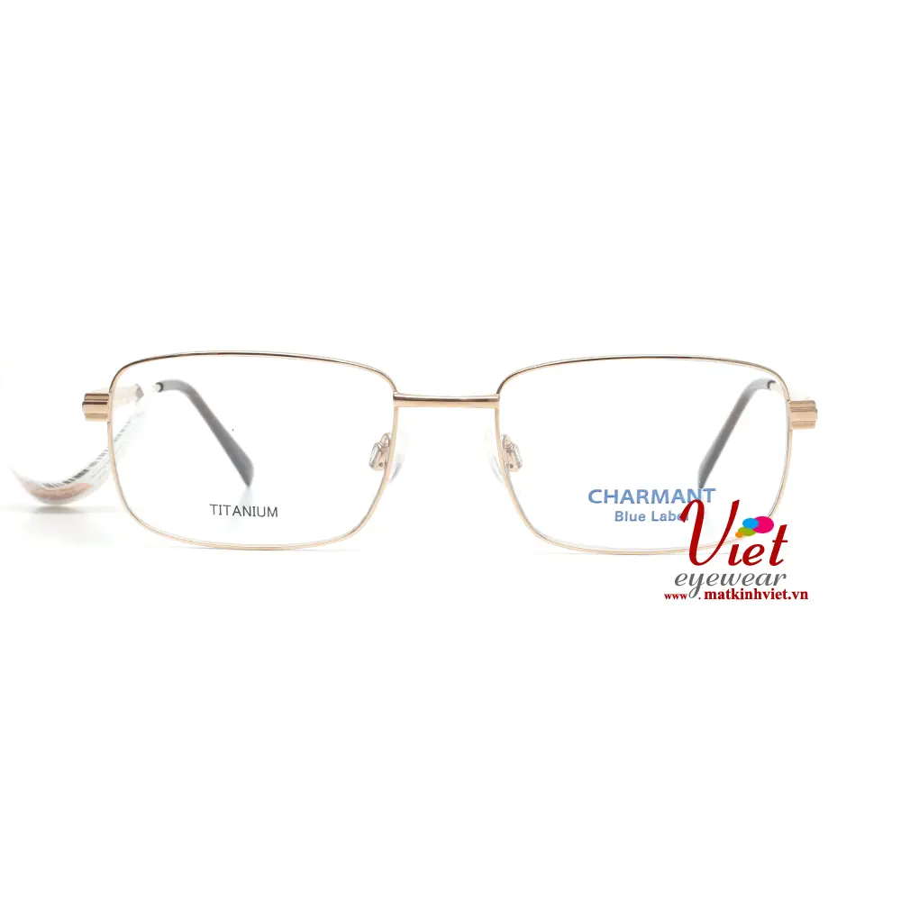 Gọng kính Charmant CH16112 GP