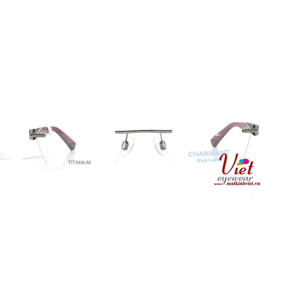 Gọng kính Charmant CH10548 DG