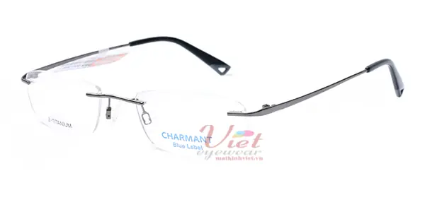 Gọng kính Charmant CH10544 DG