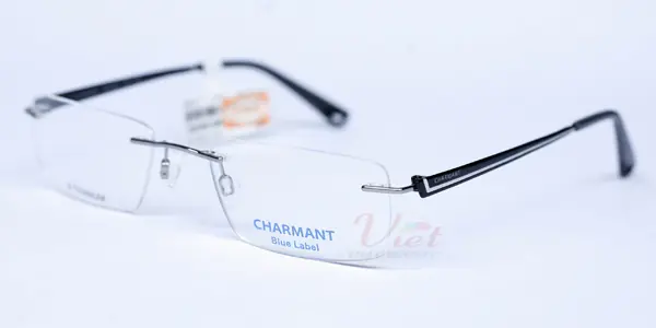 Gọng Kính Charmant CH10524 BK