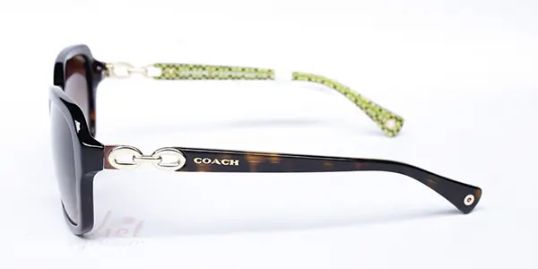 Kính mát COACH HC8104 523214