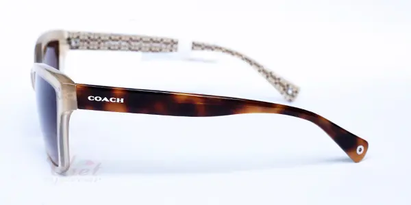 Kính mát COACH HC8107F 523113