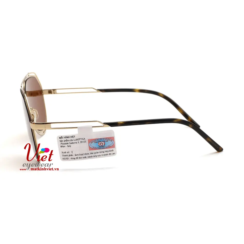 Kính mát Dolce & Gabbana DG2176 488/73