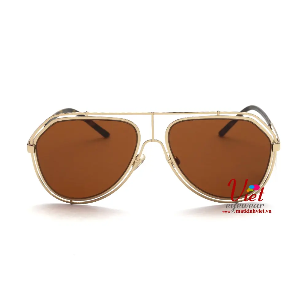 Kính mát Dolce & Gabbana DG2176 488/73