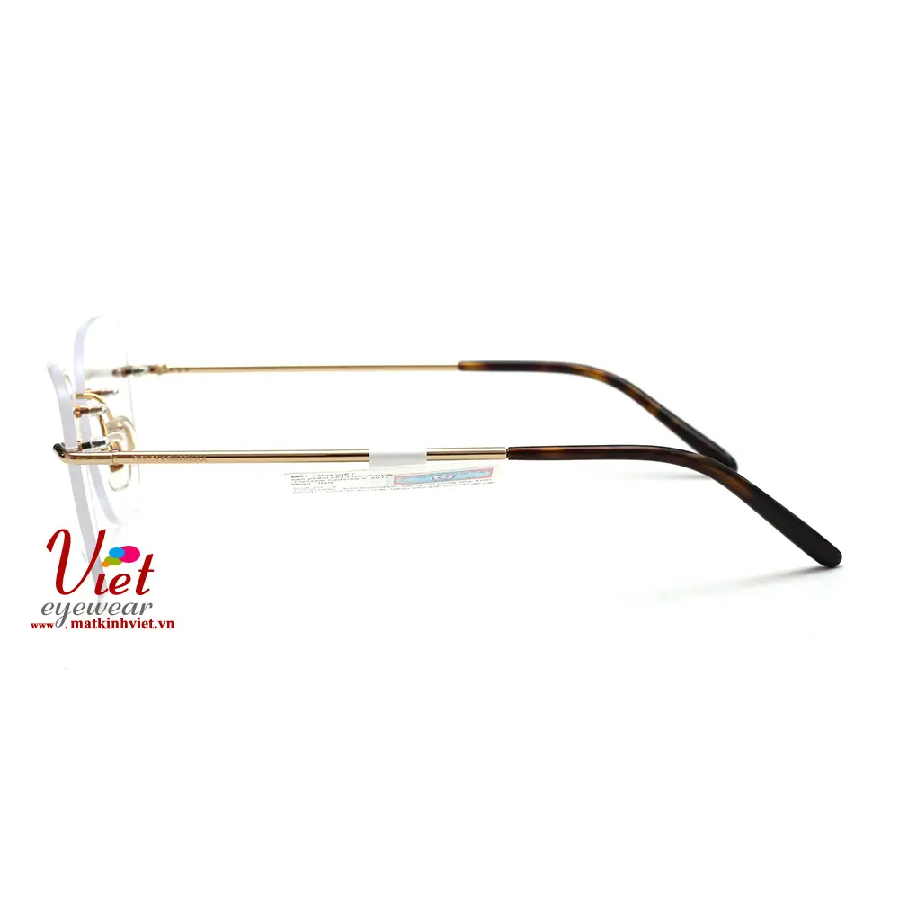 Gọng kính Dolce & Gabbana DG1299 02