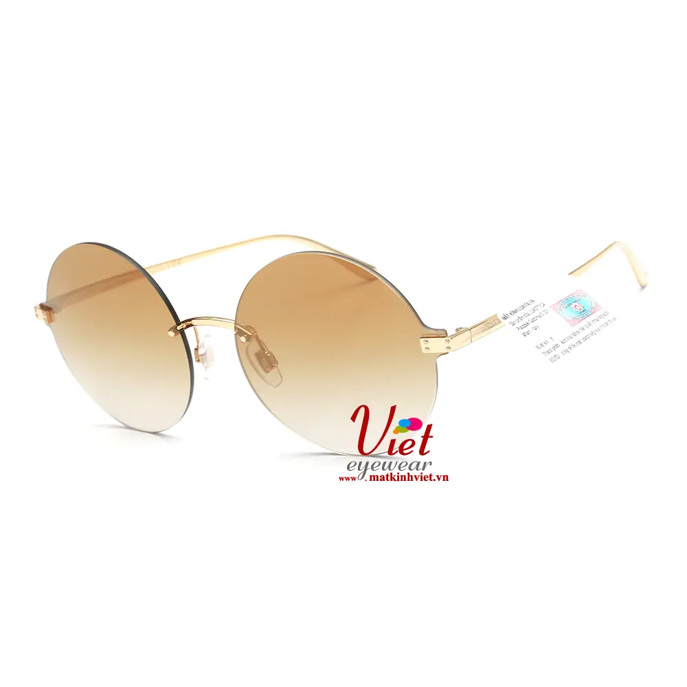 Kính mát Dolce & Gabbana DG2228 02-6E