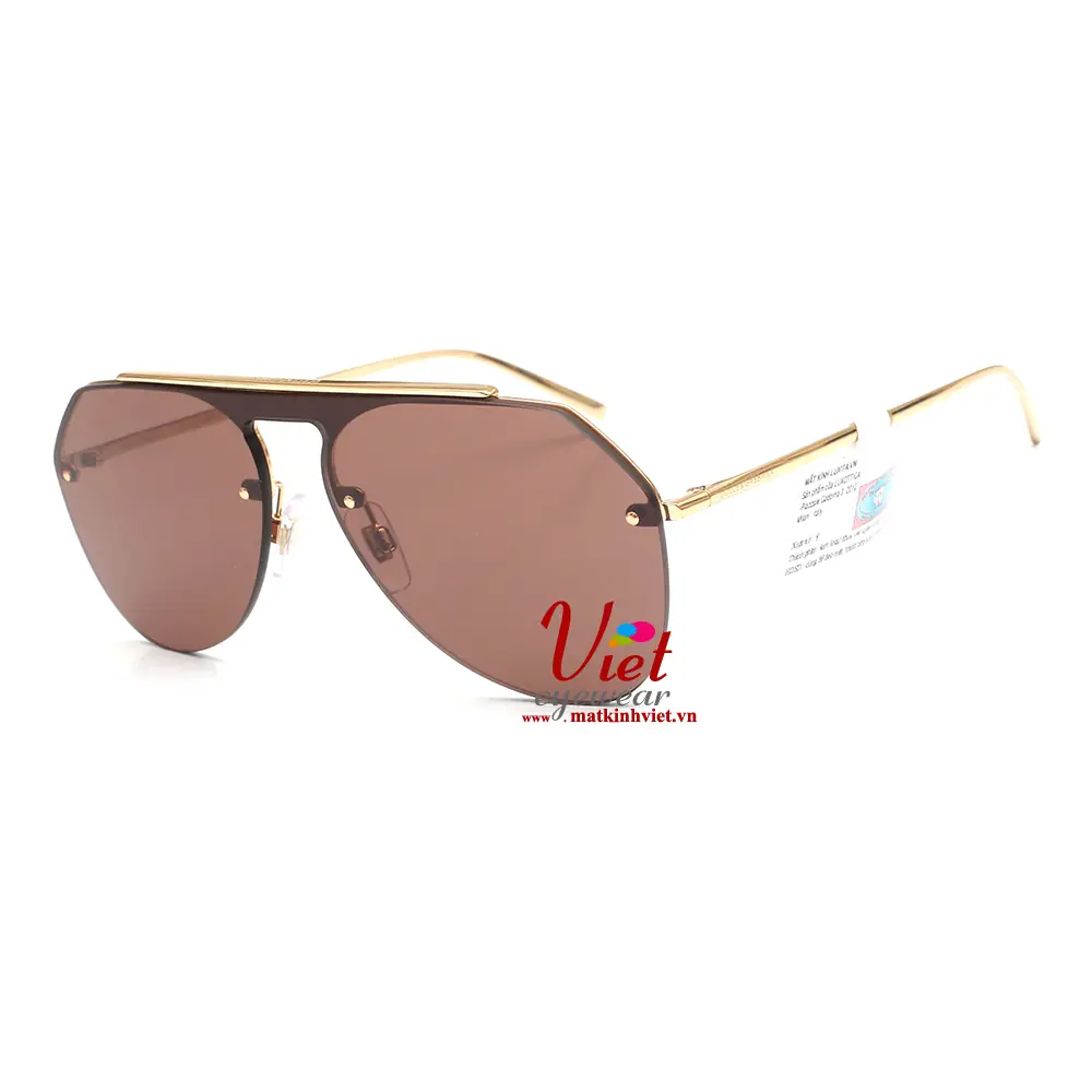 Kính mát Dolce & Gabbana DG2213 02-73