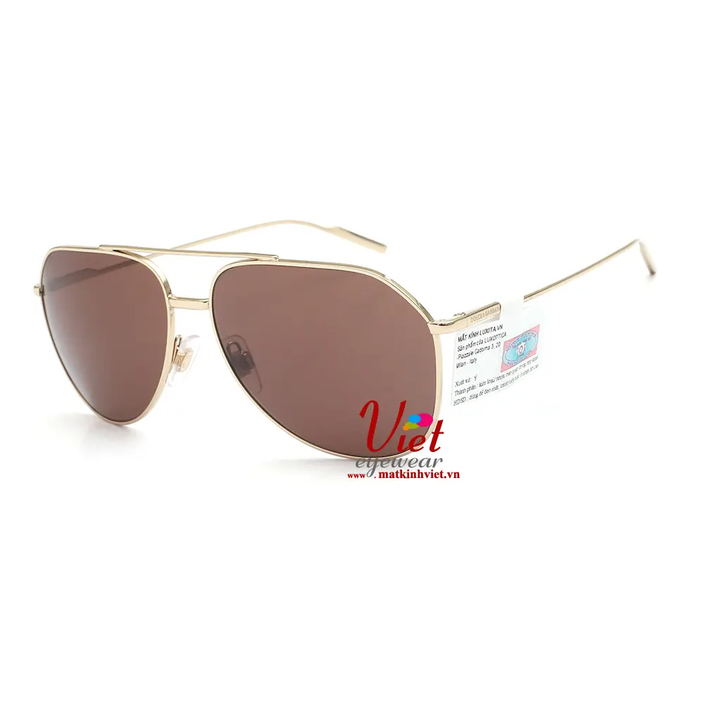 Kính mát Dolce & Gabbana DG2166 48873