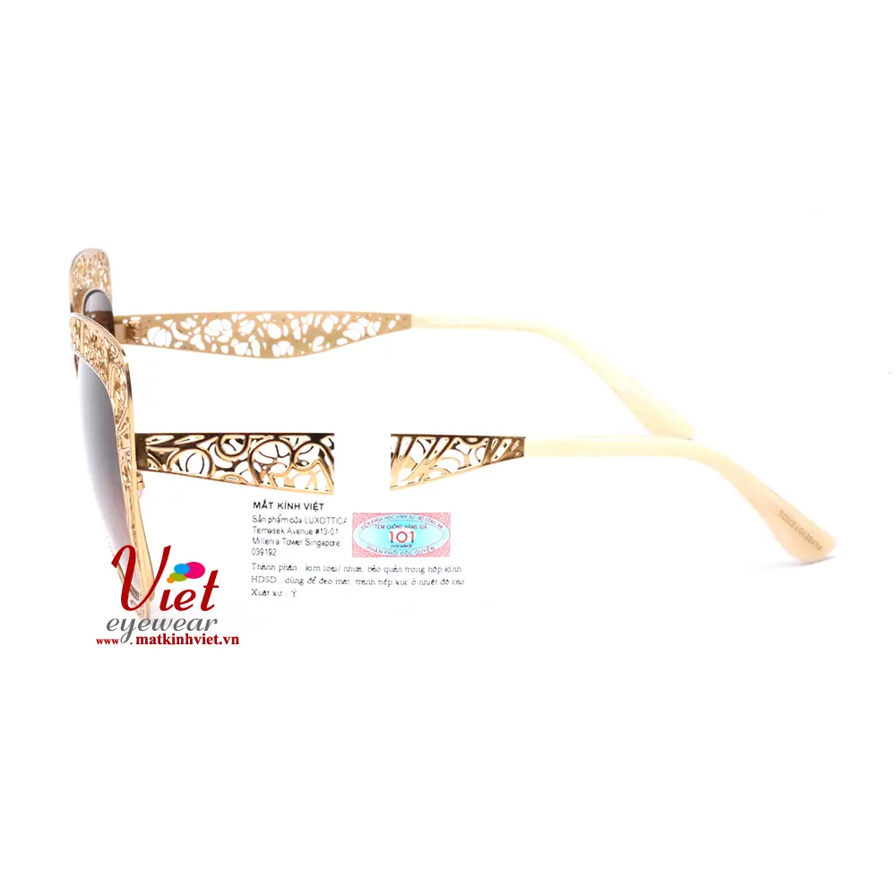 Kính mát Dolce & Gabbana DG2164 02/13