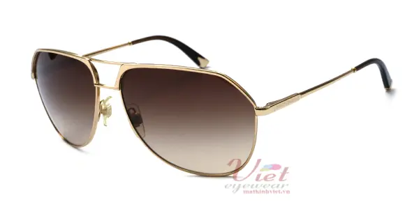 Kính mát Dolce & Gabbana DG2097 002 13