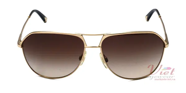 Kính mát Dolce & Gabbana DG2097 002 13