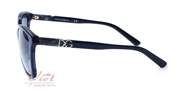 Kính mát Dolce & Gabbana DG4170P 2689 8F