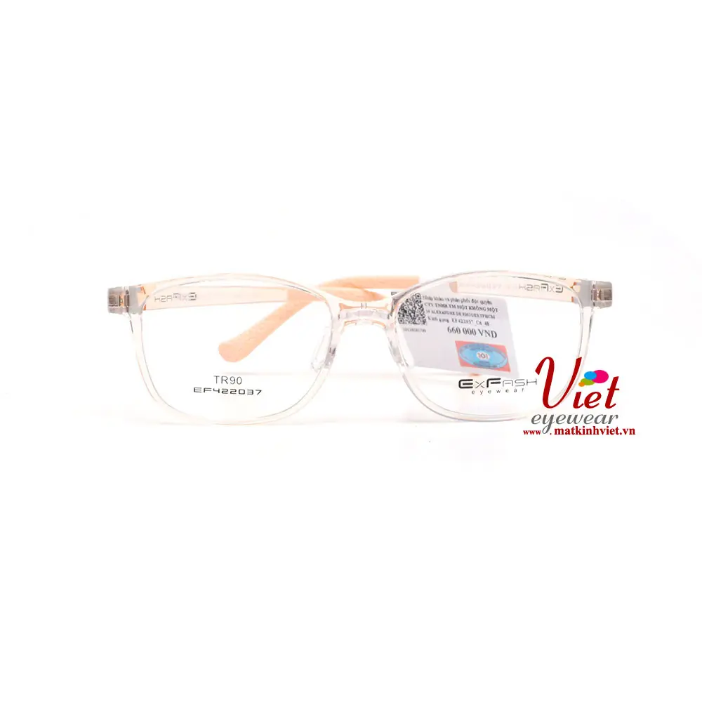 Gọng kính Exfash EF422037 C6