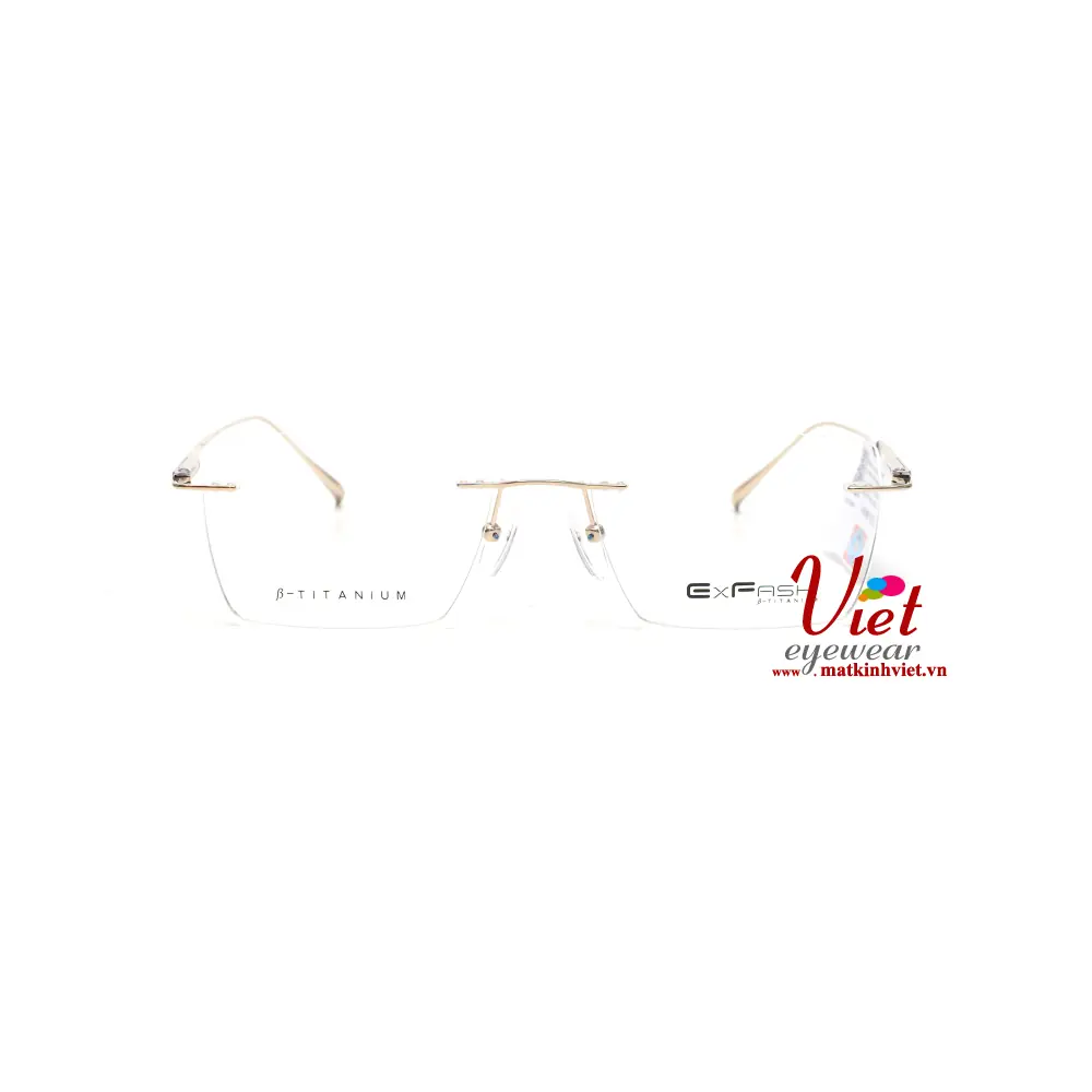 Gọng kính Exfash EF34246T 489A