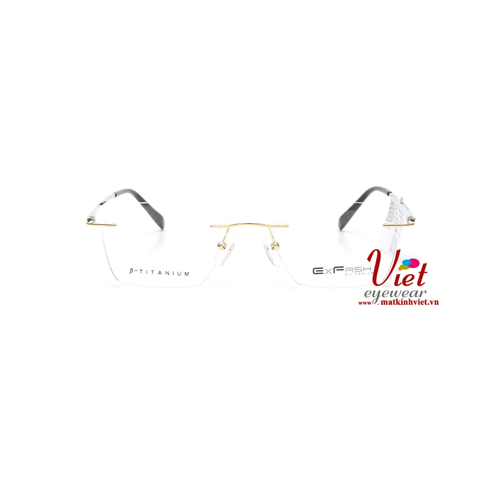 Gọng kính Exfash EF33202T 902A