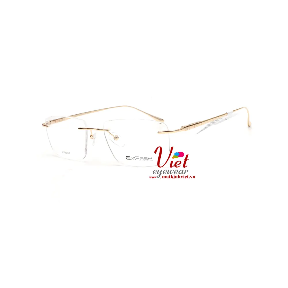 Gọng Kính Exfash EF83276T 901