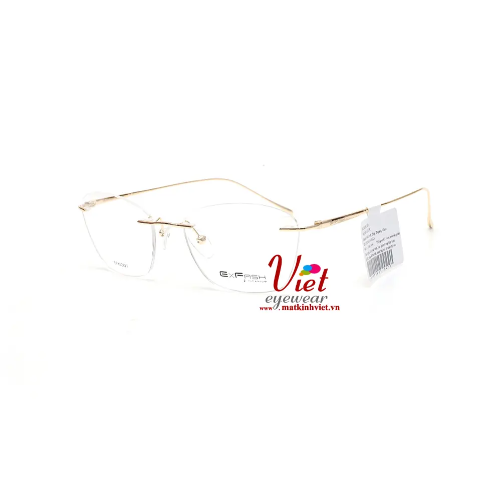 Gọng kính Exfash EF83262T 741A