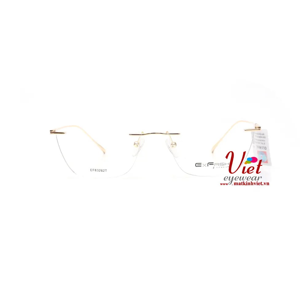 Gọng kính Exfash EF83262T 741A