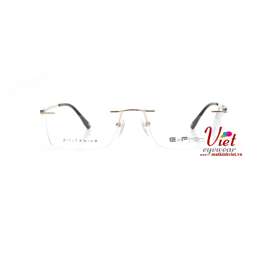 Gọng kính Exfash EF33249T 489A