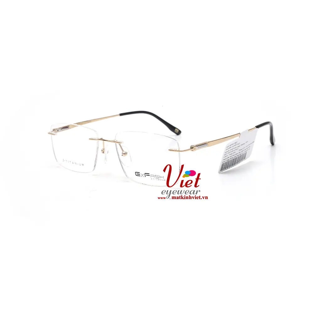 Gọng kính Exfash EF33249T 489A