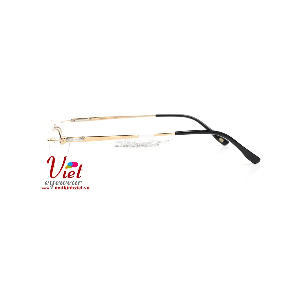 Gọng kính Exfash EF33249T 489A