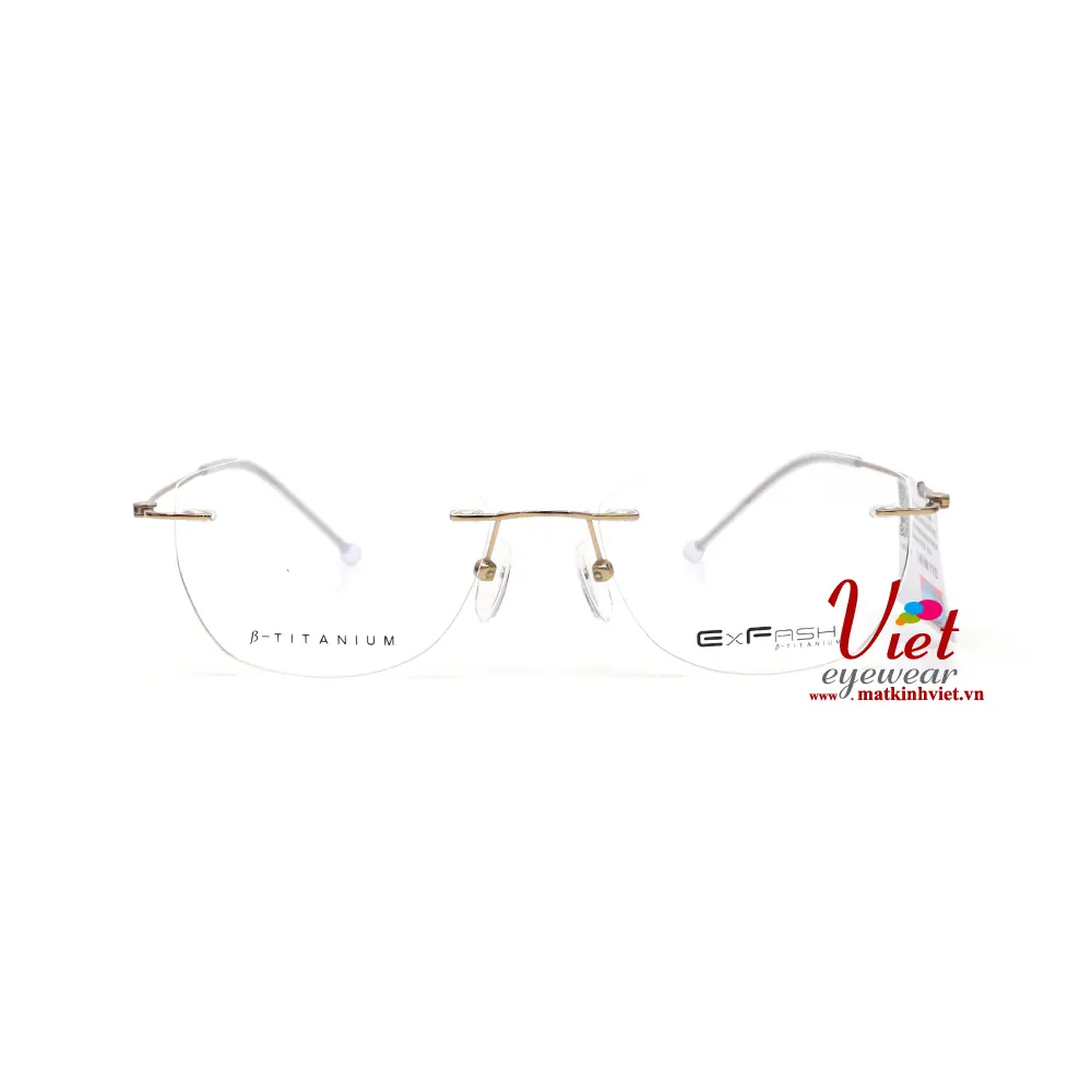 Gọng kính Exfash EF33218T 974A
