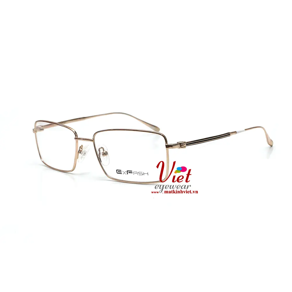Gọng Kính Exfash EF36591 906