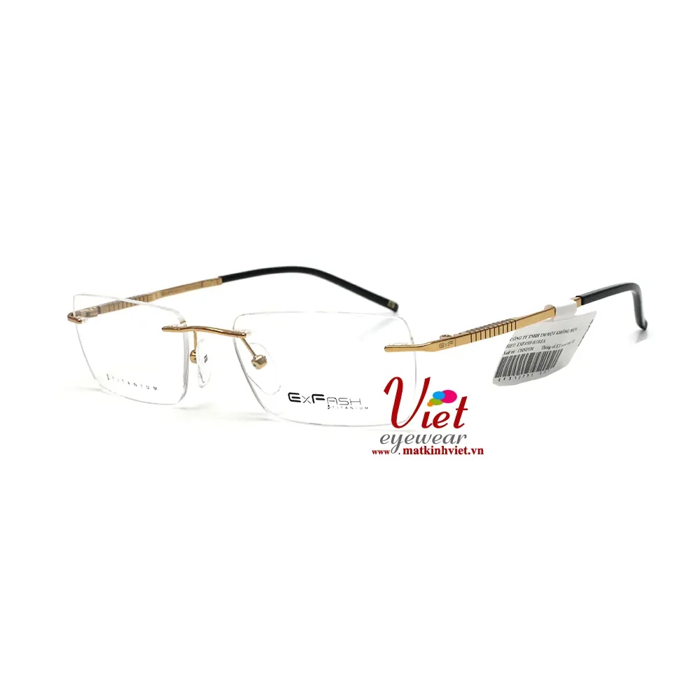 Gọng Kính Exfash EF31273T 901