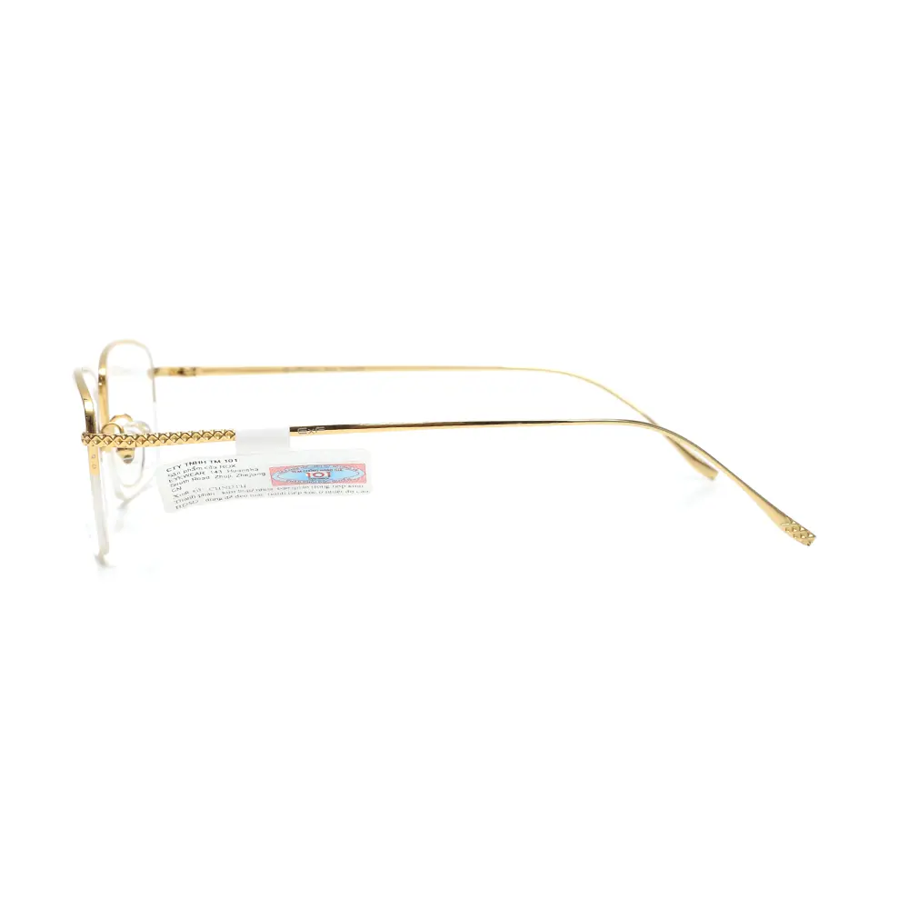 Gọng kính Exfash EF88212T 901